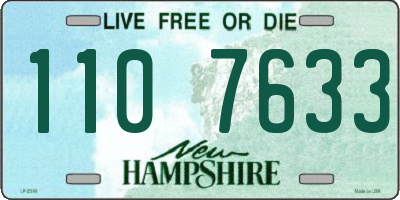 NH license plate 1107633