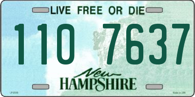 NH license plate 1107637