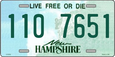 NH license plate 1107651