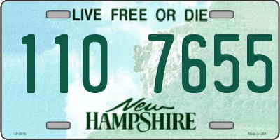 NH license plate 1107655