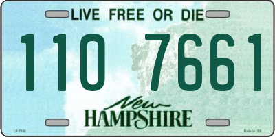 NH license plate 1107661