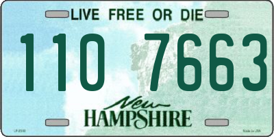 NH license plate 1107663
