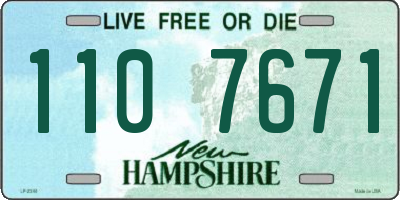 NH license plate 1107671