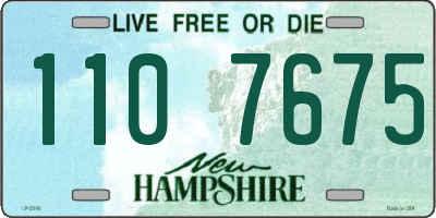NH license plate 1107675