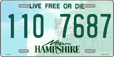 NH license plate 1107687