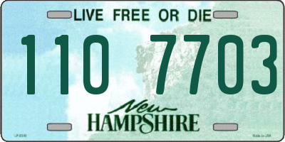 NH license plate 1107703