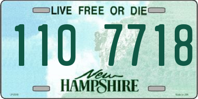 NH license plate 1107718