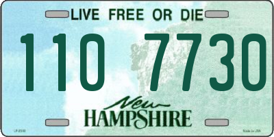 NH license plate 1107730