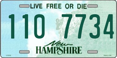 NH license plate 1107734