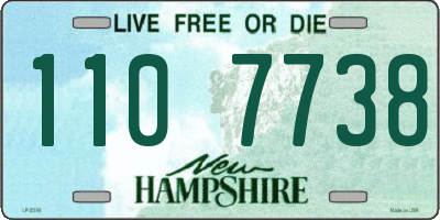 NH license plate 1107738
