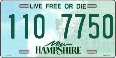 NH license plate 1107750