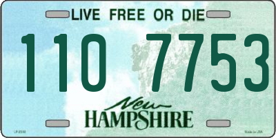 NH license plate 1107753
