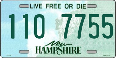 NH license plate 1107755