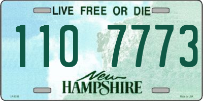 NH license plate 1107773