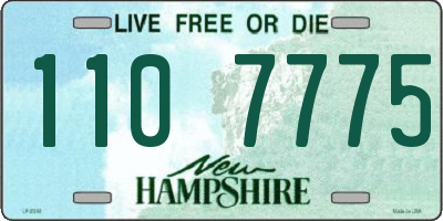 NH license plate 1107775