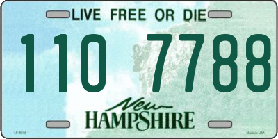 NH license plate 1107788