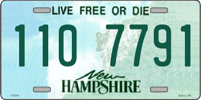 NH license plate 1107791