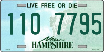 NH license plate 1107795