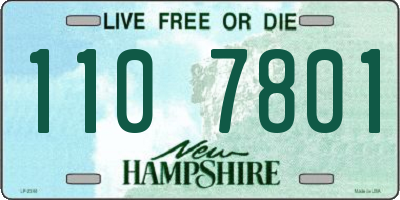 NH license plate 1107801