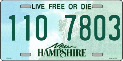 NH license plate 1107803