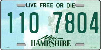NH license plate 1107804