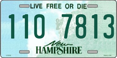 NH license plate 1107813
