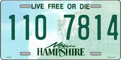 NH license plate 1107814