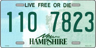 NH license plate 1107823