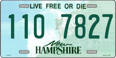 NH license plate 1107827