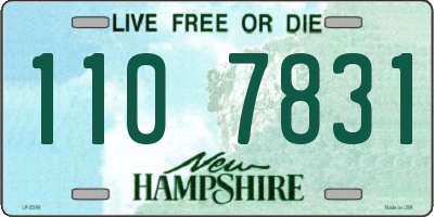 NH license plate 1107831