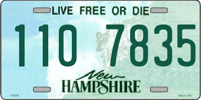 NH license plate 1107835