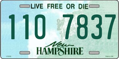NH license plate 1107837