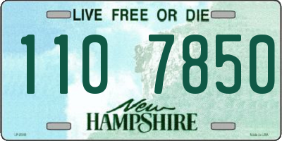 NH license plate 1107850