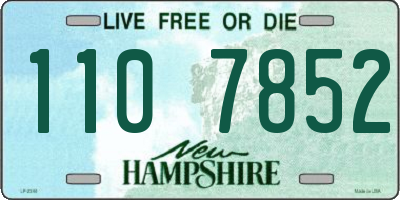 NH license plate 1107852
