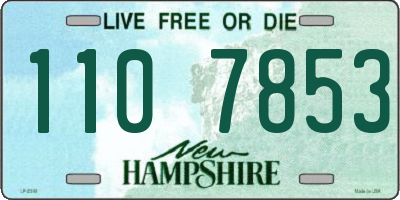 NH license plate 1107853