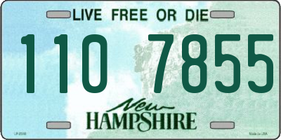 NH license plate 1107855