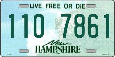NH license plate 1107861