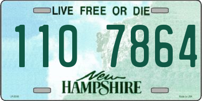 NH license plate 1107864