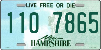 NH license plate 1107865