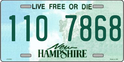 NH license plate 1107868
