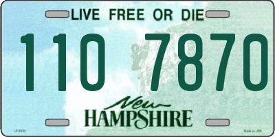 NH license plate 1107870