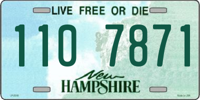NH license plate 1107871