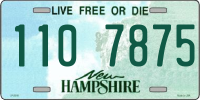 NH license plate 1107875
