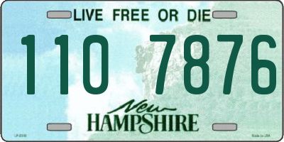NH license plate 1107876