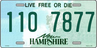 NH license plate 1107877