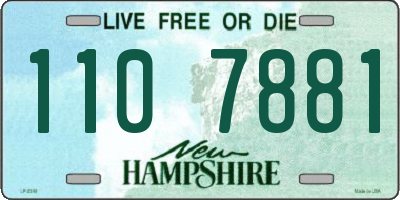 NH license plate 1107881