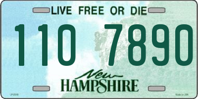 NH license plate 1107890