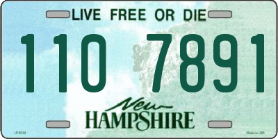 NH license plate 1107891