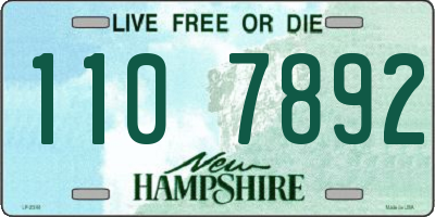NH license plate 1107892