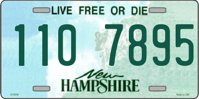 NH license plate 1107895